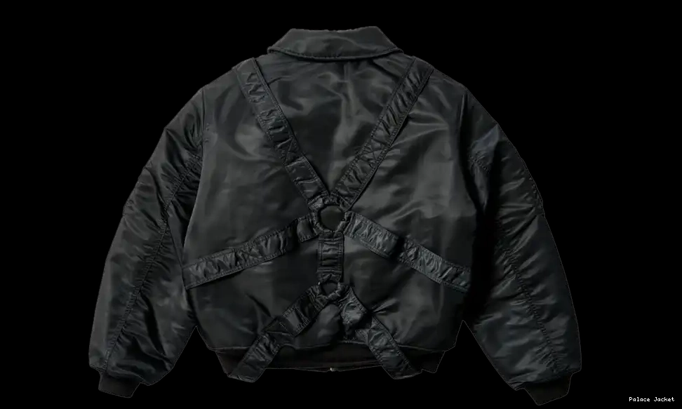 Cheap Palace Westwood Jacket Right Flight 